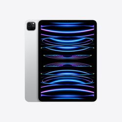 iPad Pro 11in 4th Gen WiFi And Cell