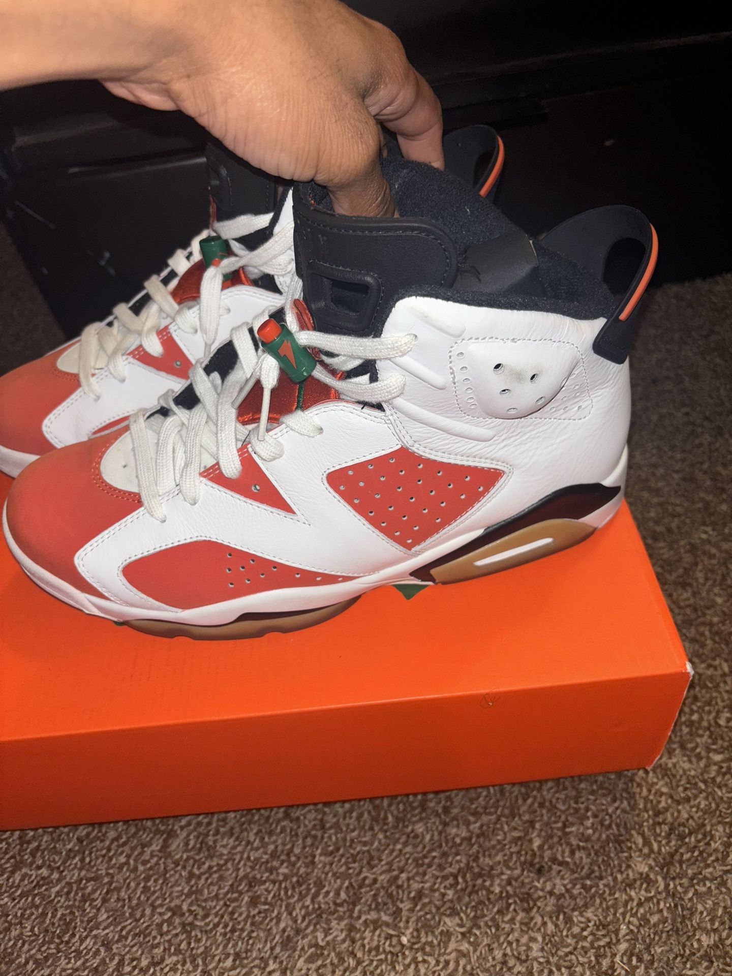 (Size 10) Jordan 6  Gatorade 
