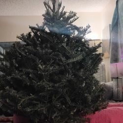 Little Baby Christmas Tree Real New $20