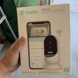 Bay Owlet Camera 