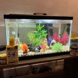fish tank 
