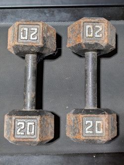 20 Pound Dumbbell Pair