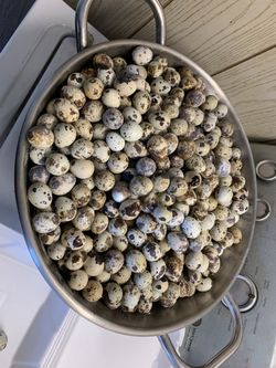 Vendo producto De Godornas 