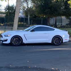 2016 Ford Shelby Gt350