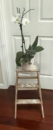 Step Ladder repurposed as decorative plant stand (plant not included ) just $5