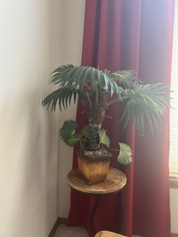 Artificial House Plant