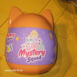 New Mystery  Squishmallow 