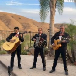 Mariachi Guitars Acoustic
