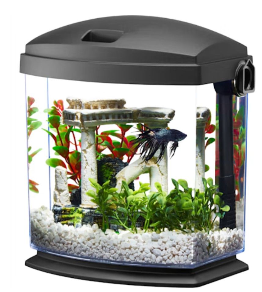 1 Gallon Fish Aquarium