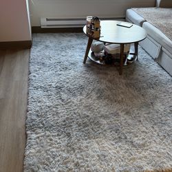 Shaggy Area Rug MOVING!!