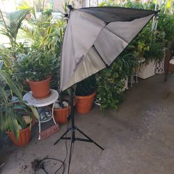 Photography Light With Tripod Stand And Carry Case 