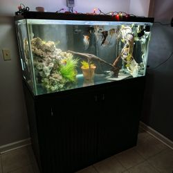 120 G Fish Tank Setup