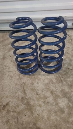 MUSTANG Rear Lowering Springs fits 79-04