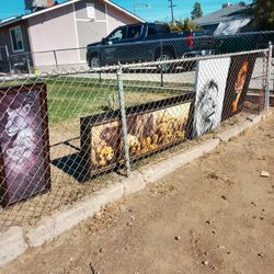 Lion Pictures Need Gone 