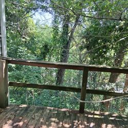 Free Tree's If You Cut Down 