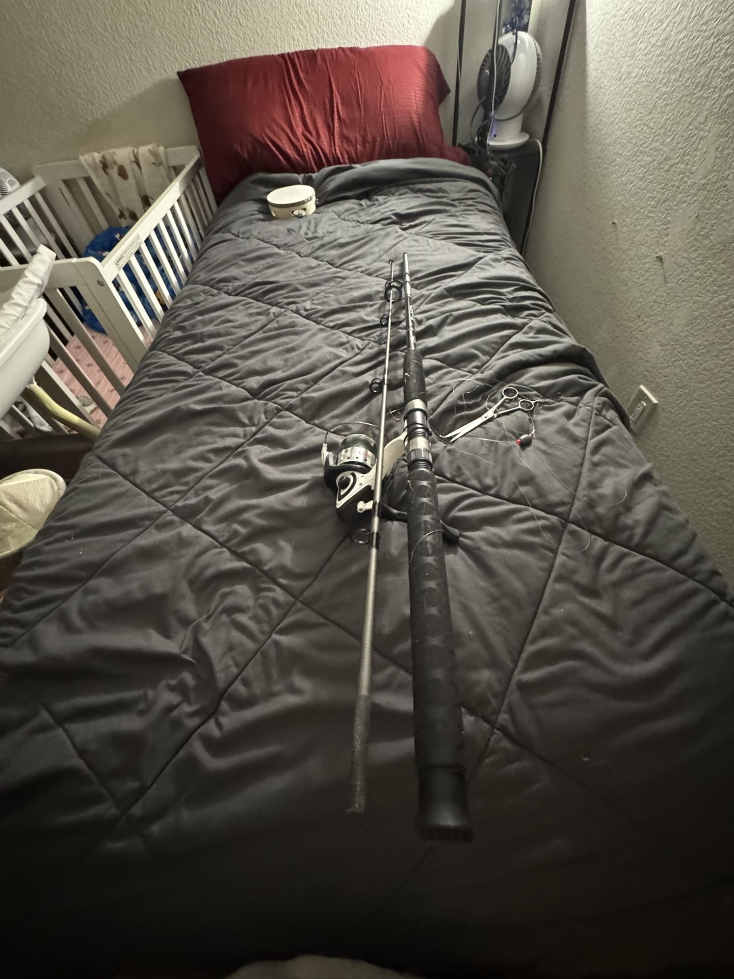 Fishing Pole And Reel Set