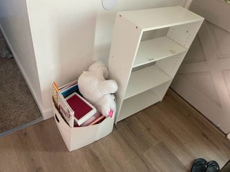 Book shelves and box of stuffed animals/books