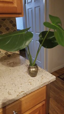 a wonderful gift for a beloved for mom for a girlfriend