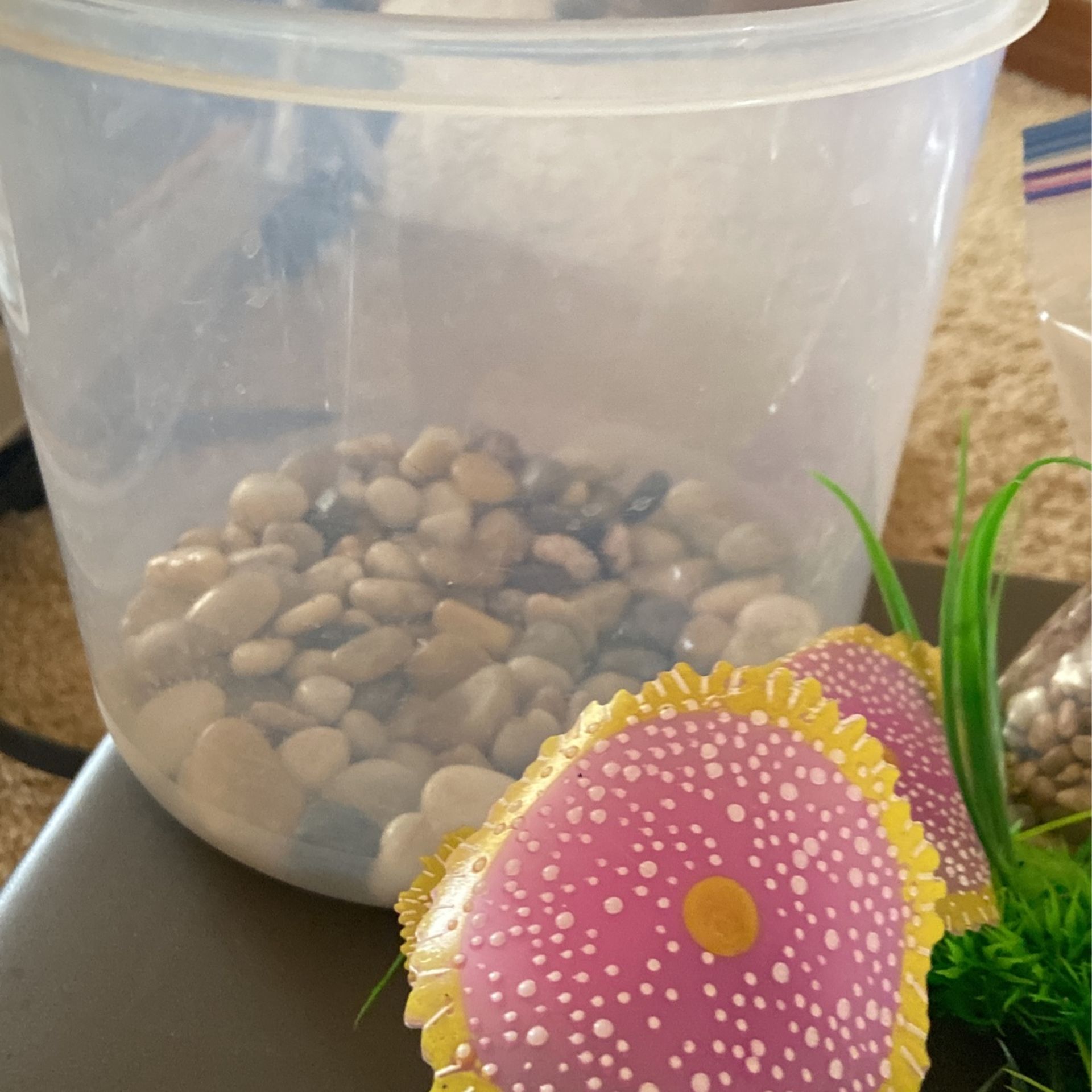 Fish Tank Decor