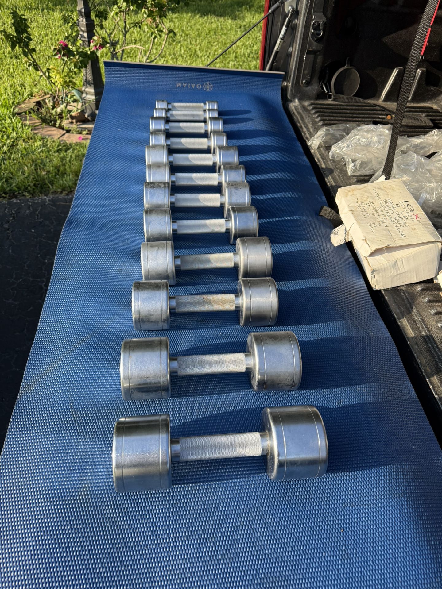 IGX Strength Chrome Dumbbell Set- New