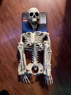 3ft Poseable Halloween Skeleton Decoration
