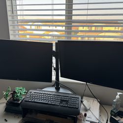 2 Computer Monitors And Stand 
