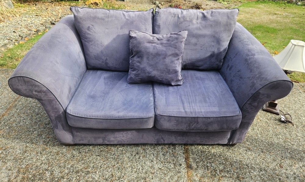 Recently Professionally Cleaned Loveseat