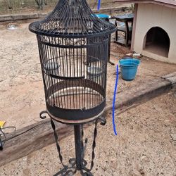 Antique Bird Cage 
