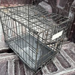 Dog Cage 