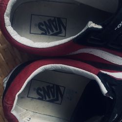 Vans 5.5