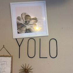 yolo letters