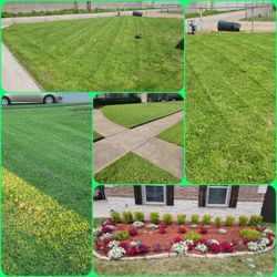❇️lawn Care❇️