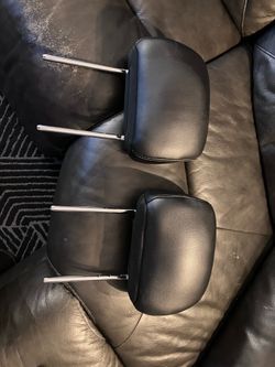 2017-2020 Ford Raptor F-150 headrests