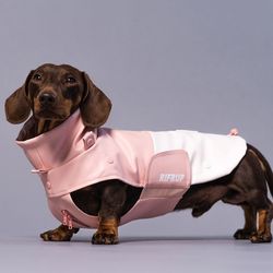 Pet Rain Coat