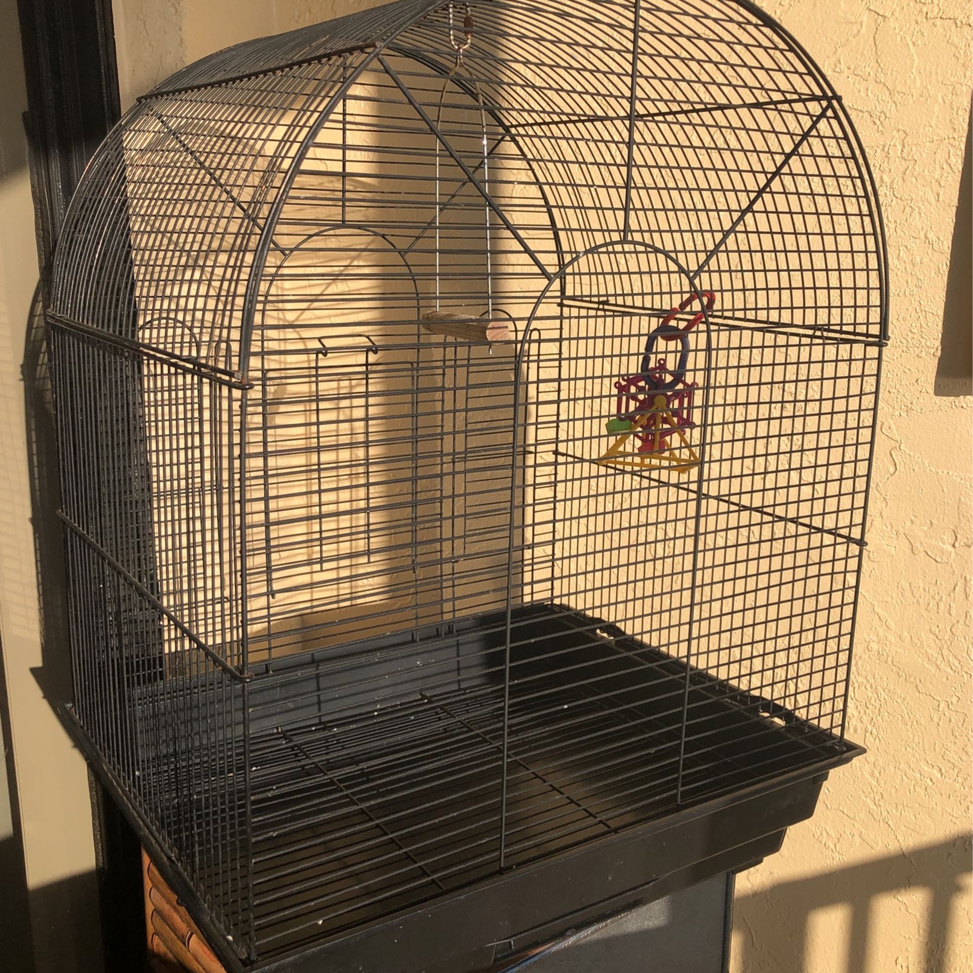 Bird Cage