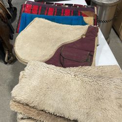 Horse Blankets 