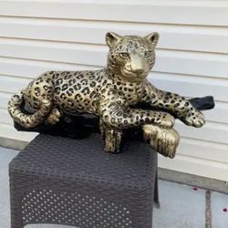 The golden leopard on the log