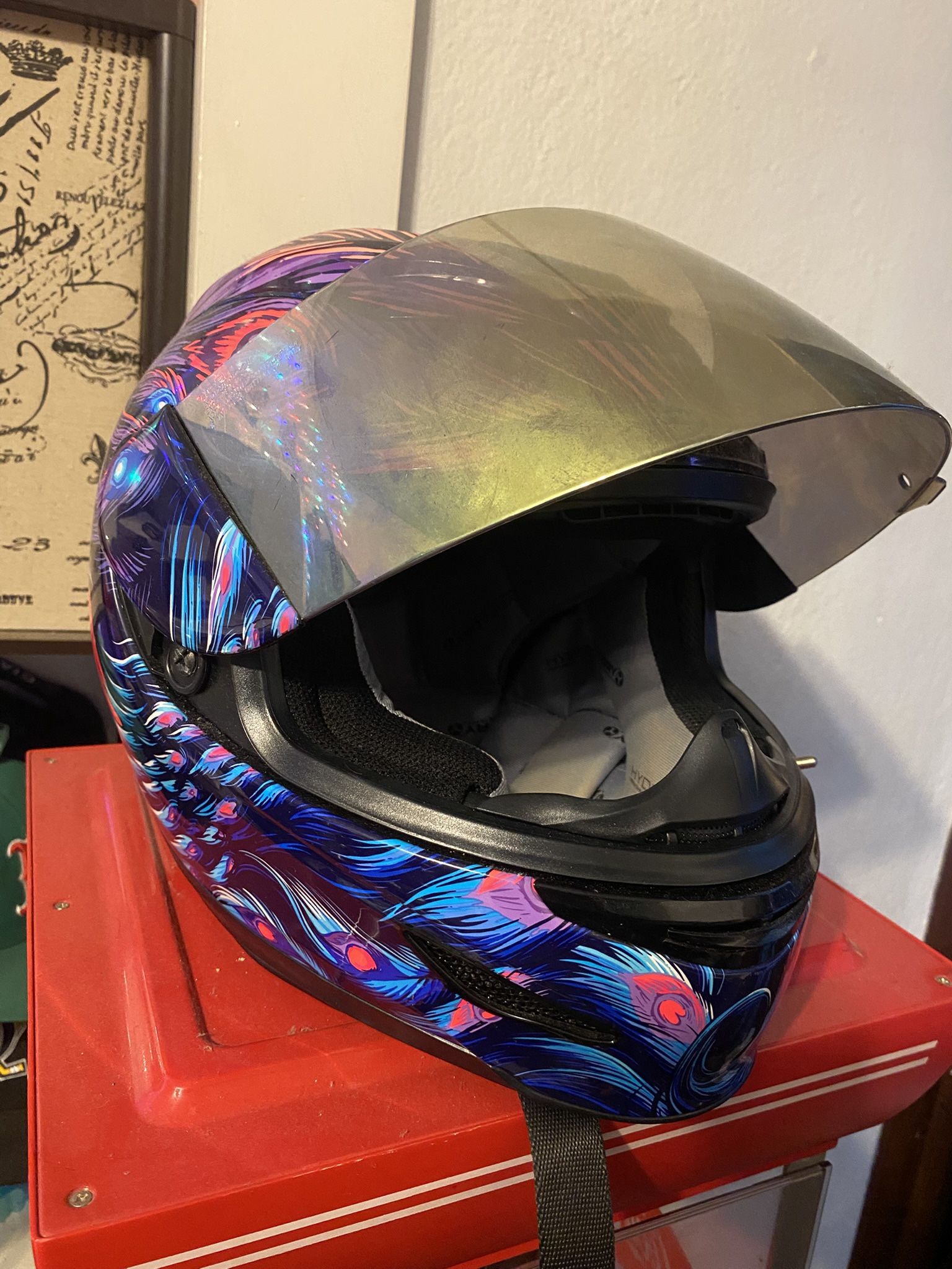 Biker Helmet