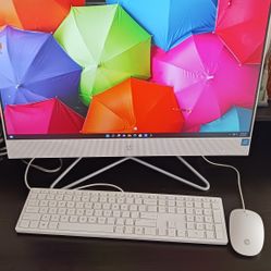 HP All-In-one 24-df0xx