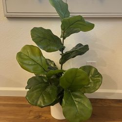 Small Fake Indoor Plant