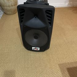 AAL Light Up Disco Speaker