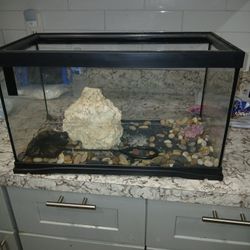 25 Gallon Fish Tank