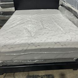 New Queen Bed Wht Matres For $299
