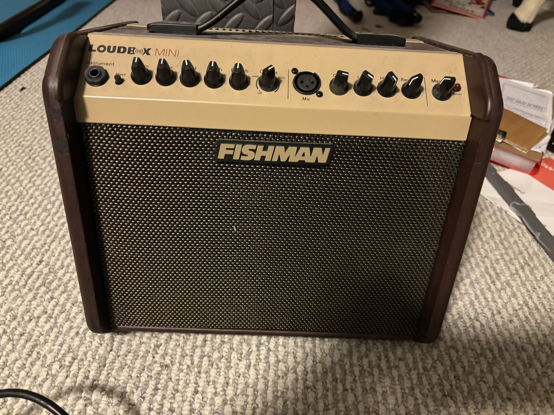 Guitar Amp (& Pickup)