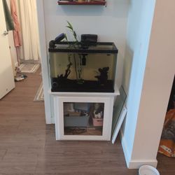 Fish/Fish Tank 