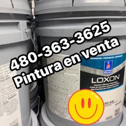 Pintura Paint