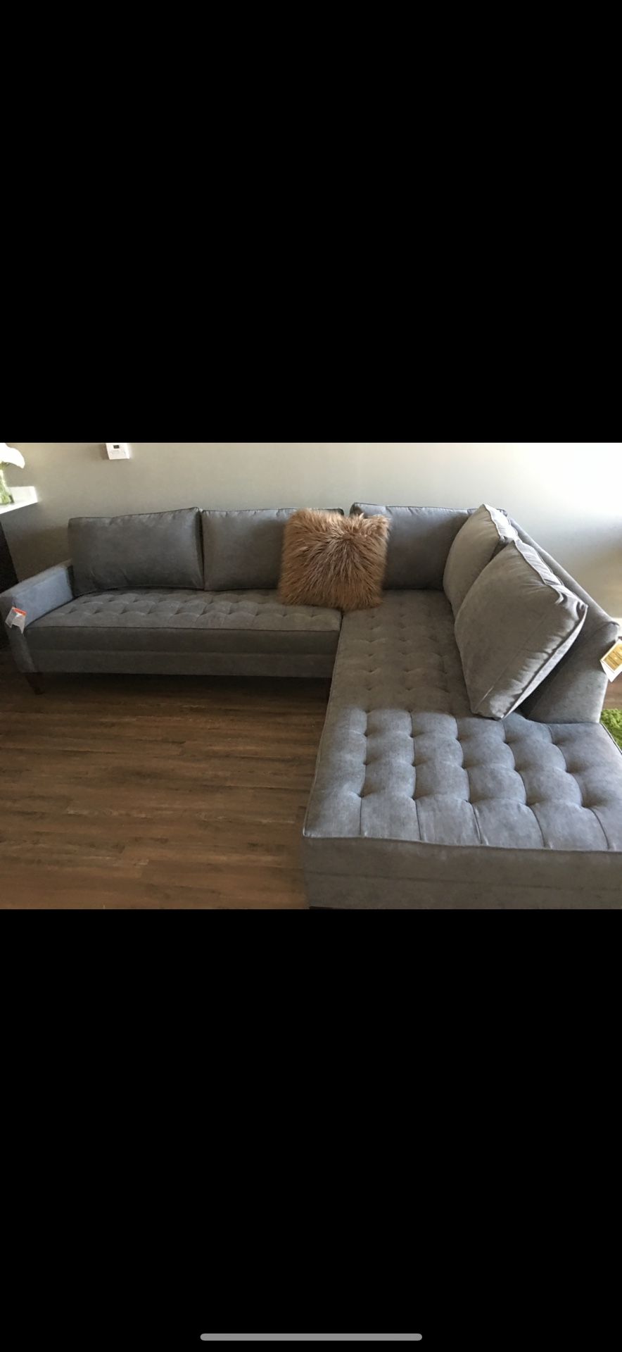 Sectional Couch
