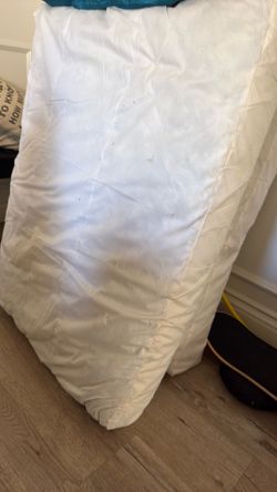 Free Pottery Barn Sofa Cushions