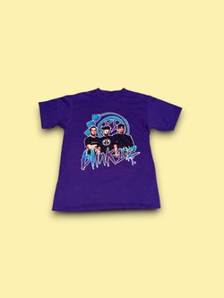 Vintage Blink 182 concert band tee shirt purple men’s medium