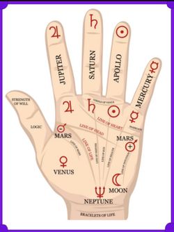 Se Le la Mano